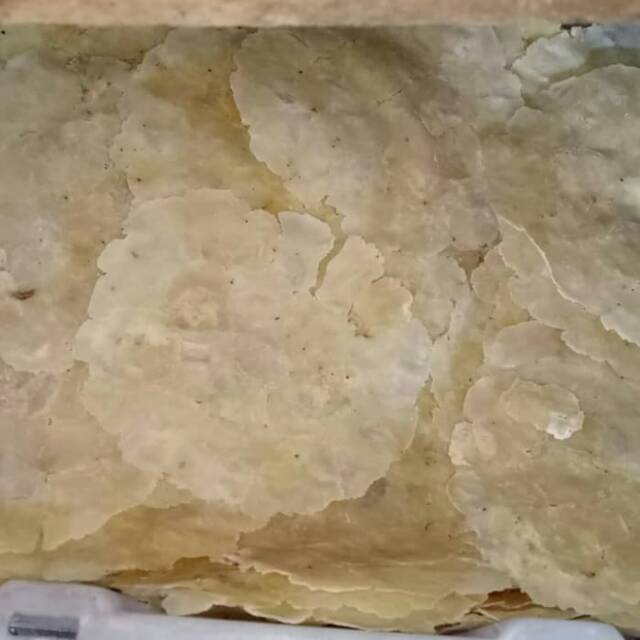 

Emping melinjo jumbo