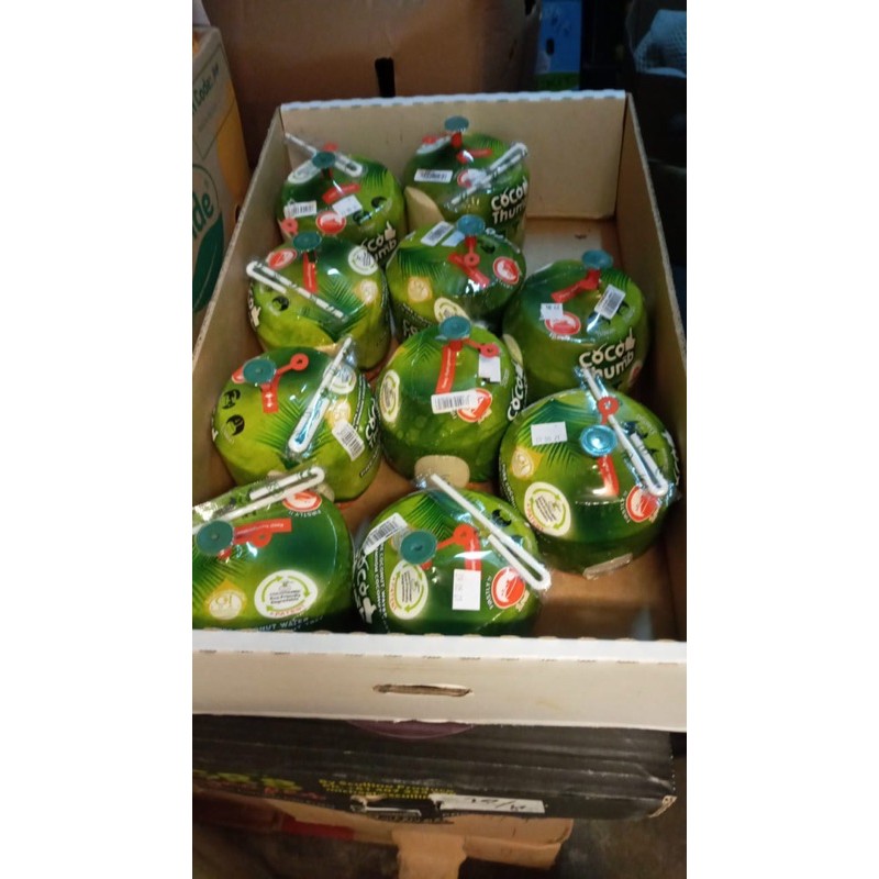 

kelapa coco thumb thailand