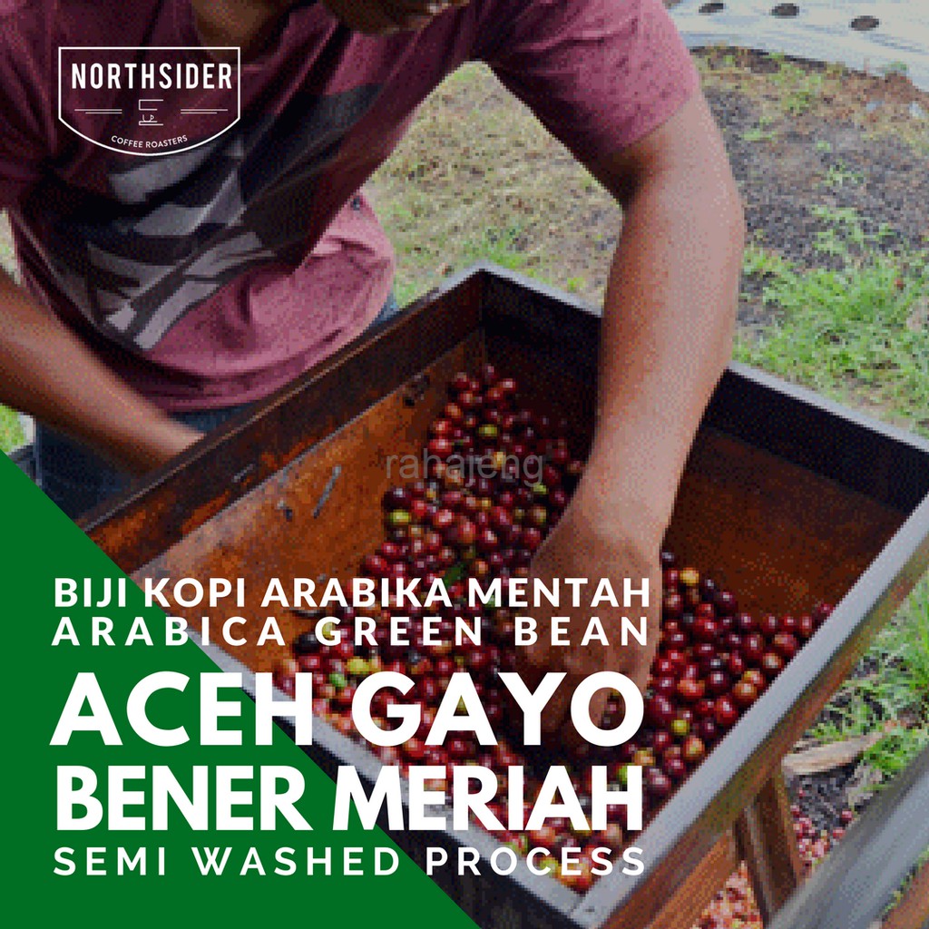 

KOPI ARABIKA ACEH GAYO SEMI WASHED - BIJI KOPI MENTAH NORTHSIDER