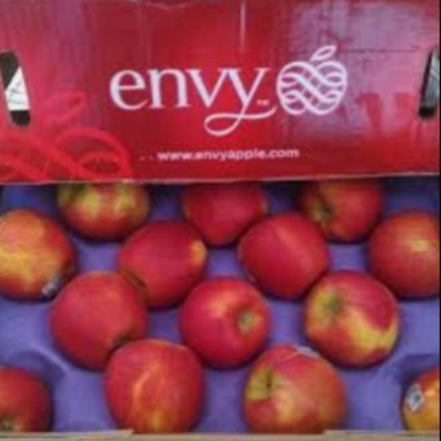 

APEL ENVY/500GR