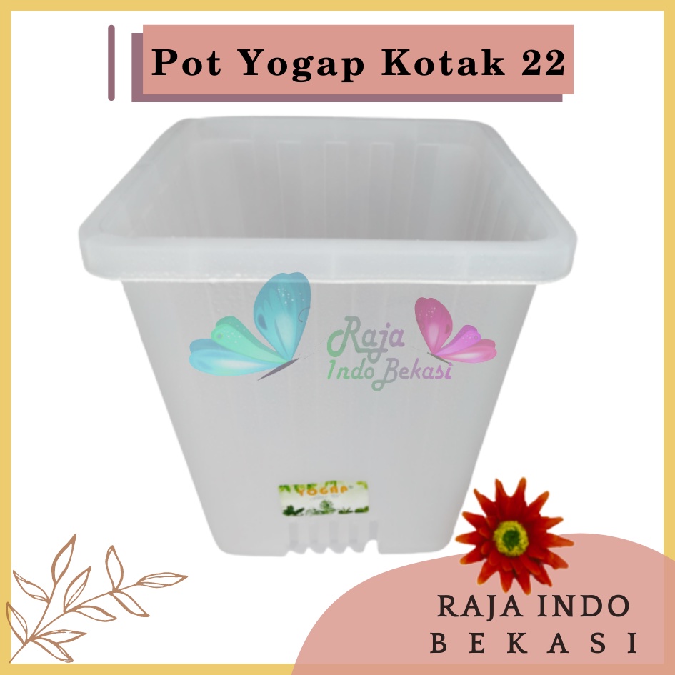 Rajaindobekasi Pot Yogap Kotak 22 Transparan Bening Clear Pot Yogap 10 13 15 17 18 19 25 30 Pot Yogap Lusinan Pot Kotak Panjang Tinggi Pot Segi Empat Hias Panjang Plastik