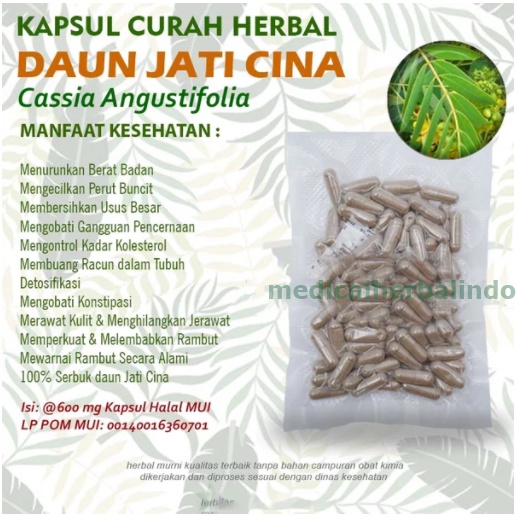Kapsul Curah Herbal JATI CINA 600mg Pelangsing Metabolisme