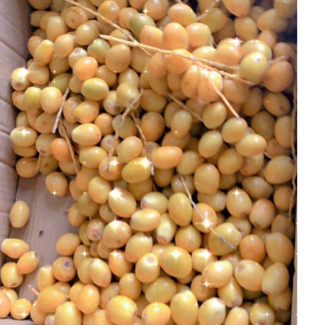 

KURMA MUDA KUNING 500grm