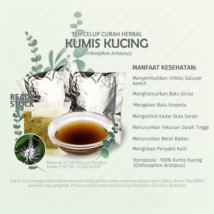 

Teh Celup Herbal Kumiskucing Remujung Brengos misai kucing Kidney Tea Plant
