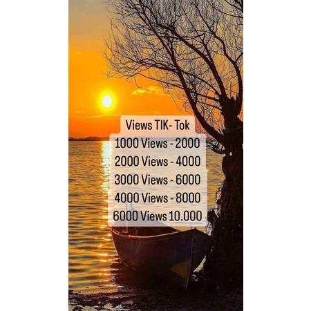 SOFTWARE VIEWS TIKTOK⚡️