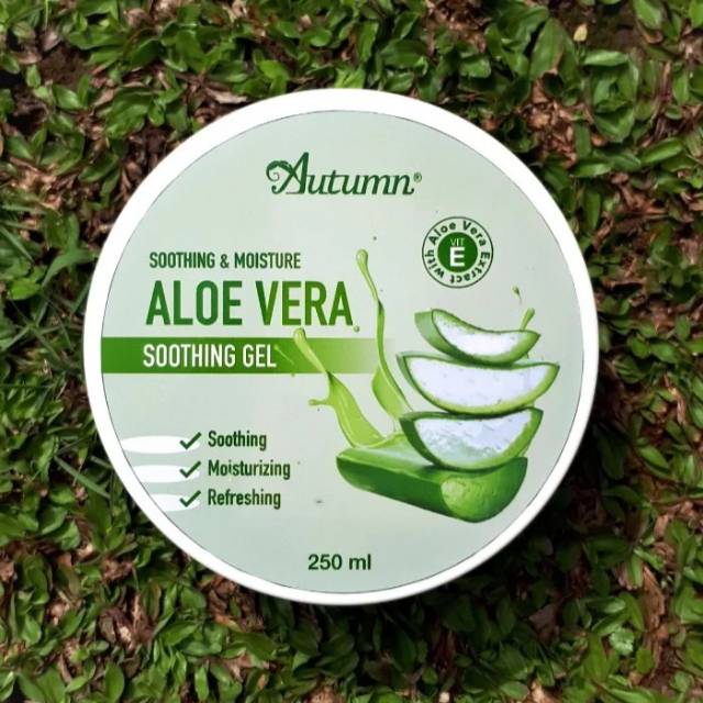 Aschosme AUTUMN SHOOTING GEL ALOEVERA Kemasan Baru