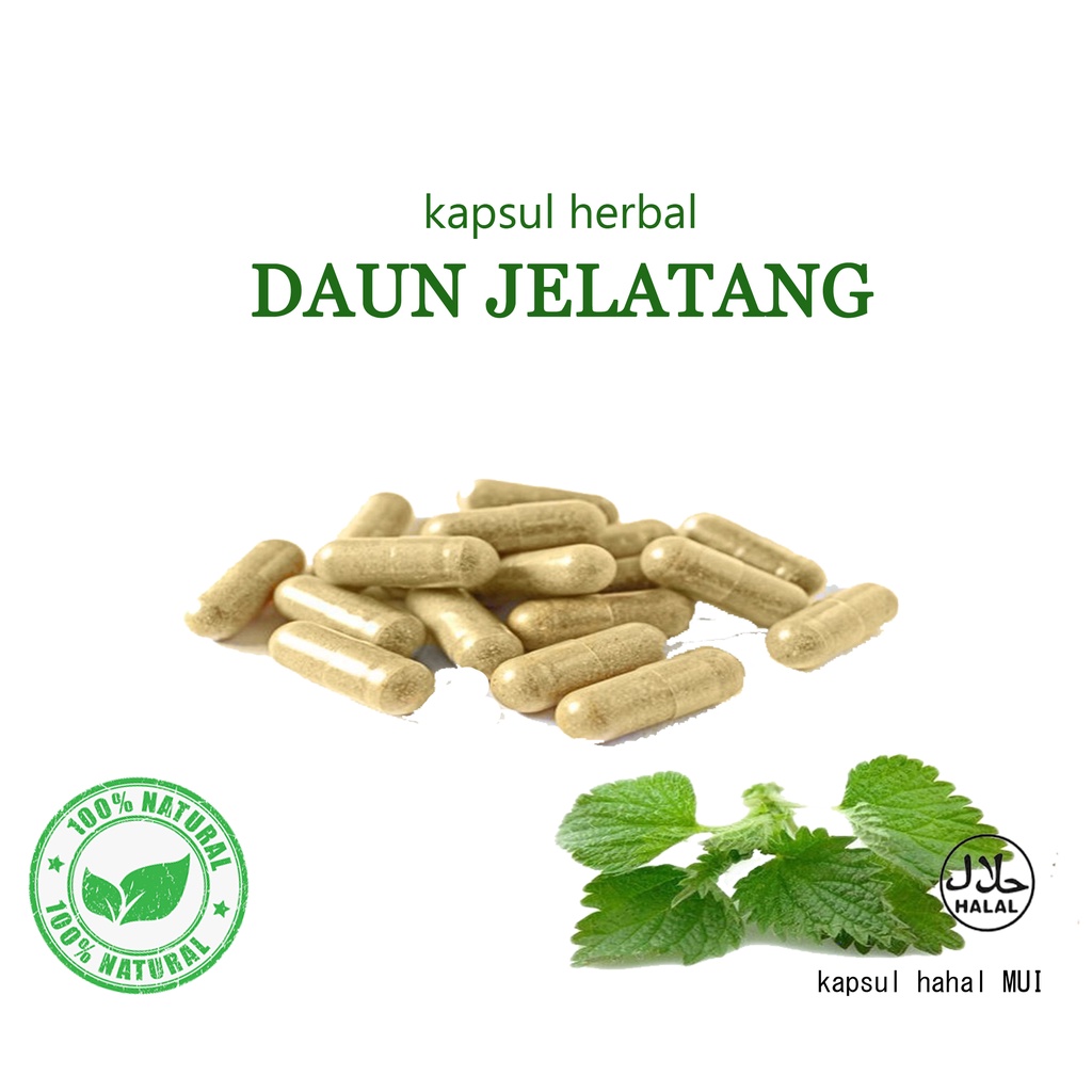 

Daun jelatang kapsul 100 pcs