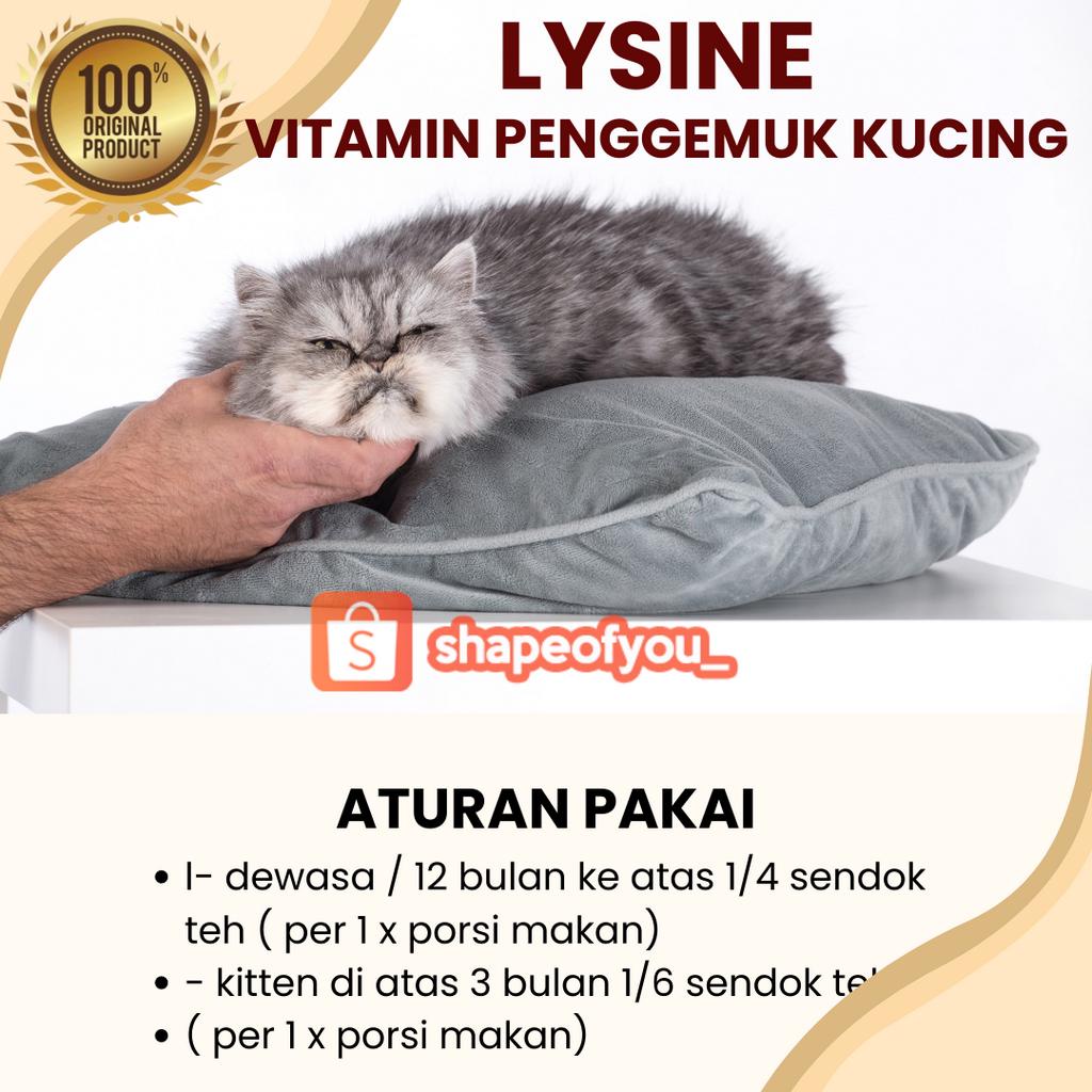 Vitamin Lysine Penggemuk Kucing Kitten Lisine Plus Vitamin Penambah nafsu makan Hewan Lengkap Cat Lisine