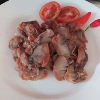 

Daging Kerang Dara 500 gram Frozen