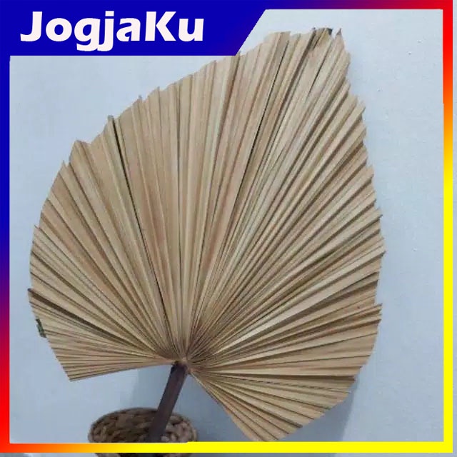 Daun Palm Kering dekorasi rustik daun kering