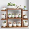 Rak Pot Kaktus Sukulen / Rak Tanaman Hias / Rak Cupang / Rak Toples