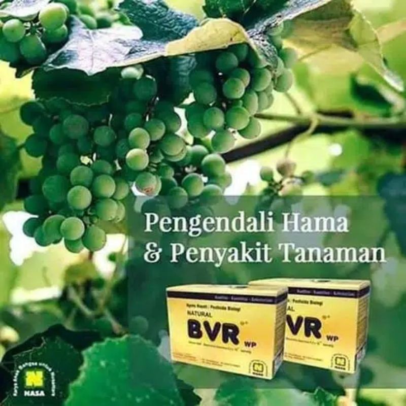 [COD] Natural BVR Nasa Pengendali Hama Alami Asli Original Nasa Isi 100 gr