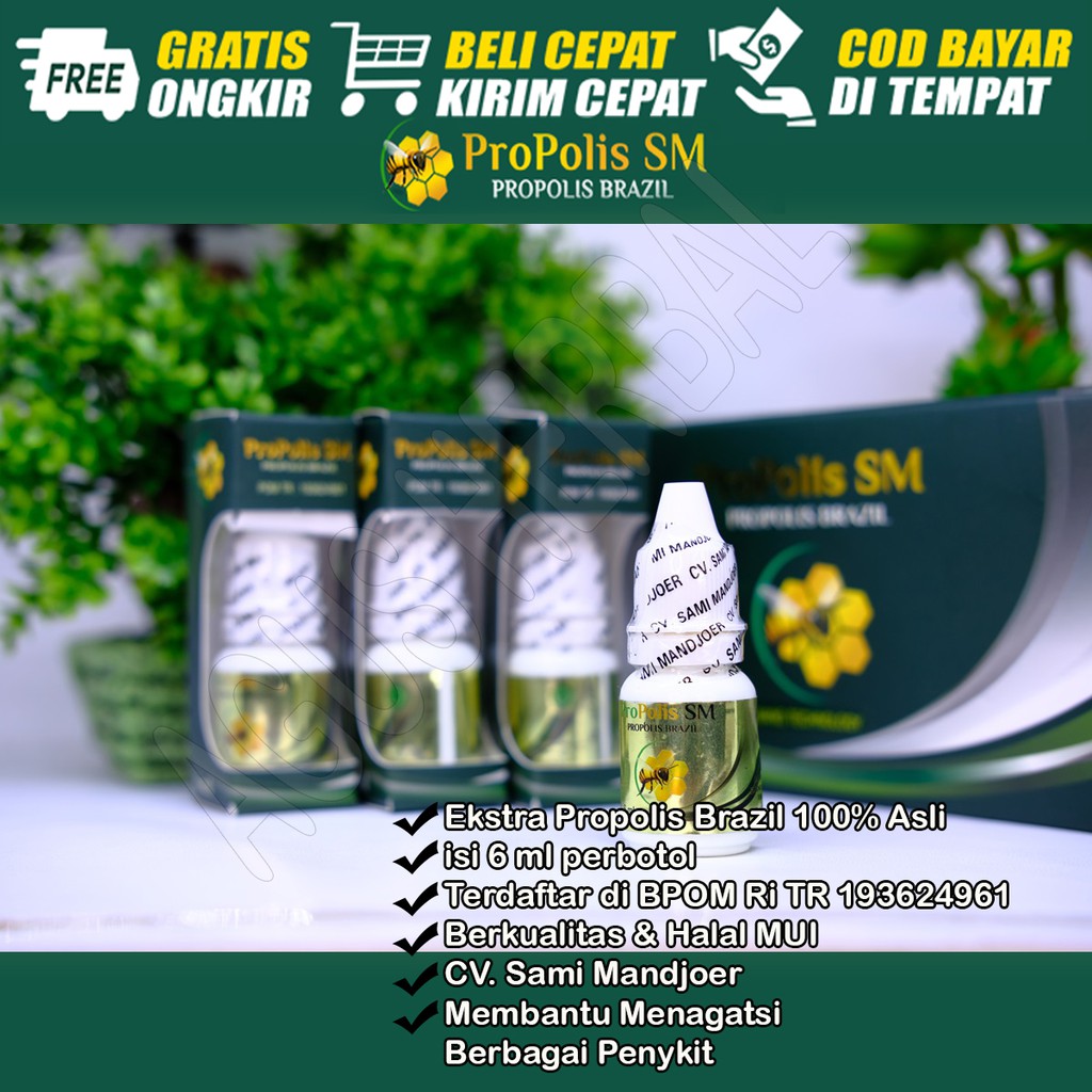 Obat Kutil Kelamin, Kutil Kelamin, Bruntus Kelamin, Bintik Merah di Kelamin, Perontok Kutil Kelamin