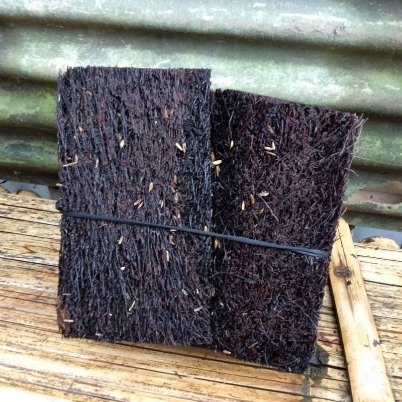 Papan pakis media anggrek tanaman hias-Media Anggrek Papan Pakis