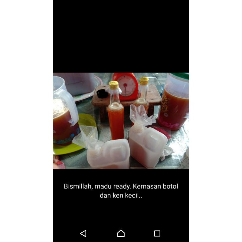 

Madu Asli Kapuas Hulu