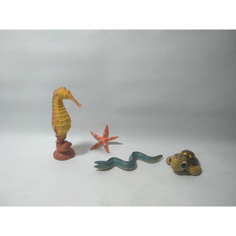 Kuda Bintang Laut Sea Horse Star Fish Seahorse Starfish Turtle Kura Bulus Penyu Kuya Kekua Labi Belu