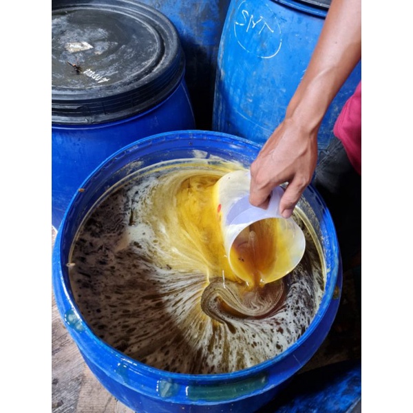 Madu murni madu sarang madu asli madu multiflora 500gram