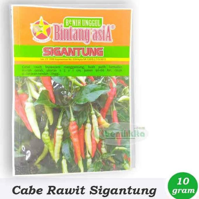 Best Produk Benih/Bibit Cabe Rawit Besar Sigantung (Bintang Asia)
