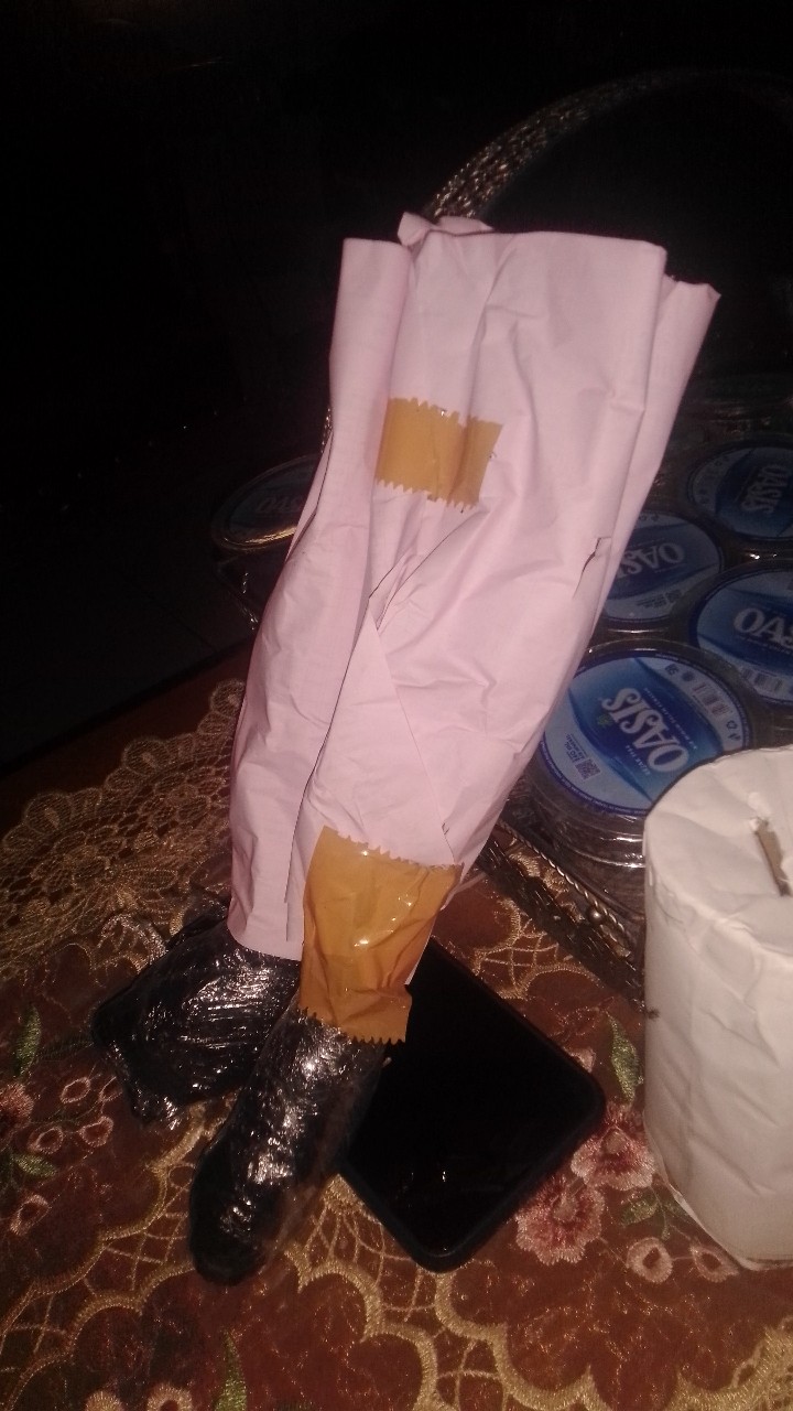 Tanaman Indoor Sensivera Moonshine - Tanaman Hias Sensivera Moonshine