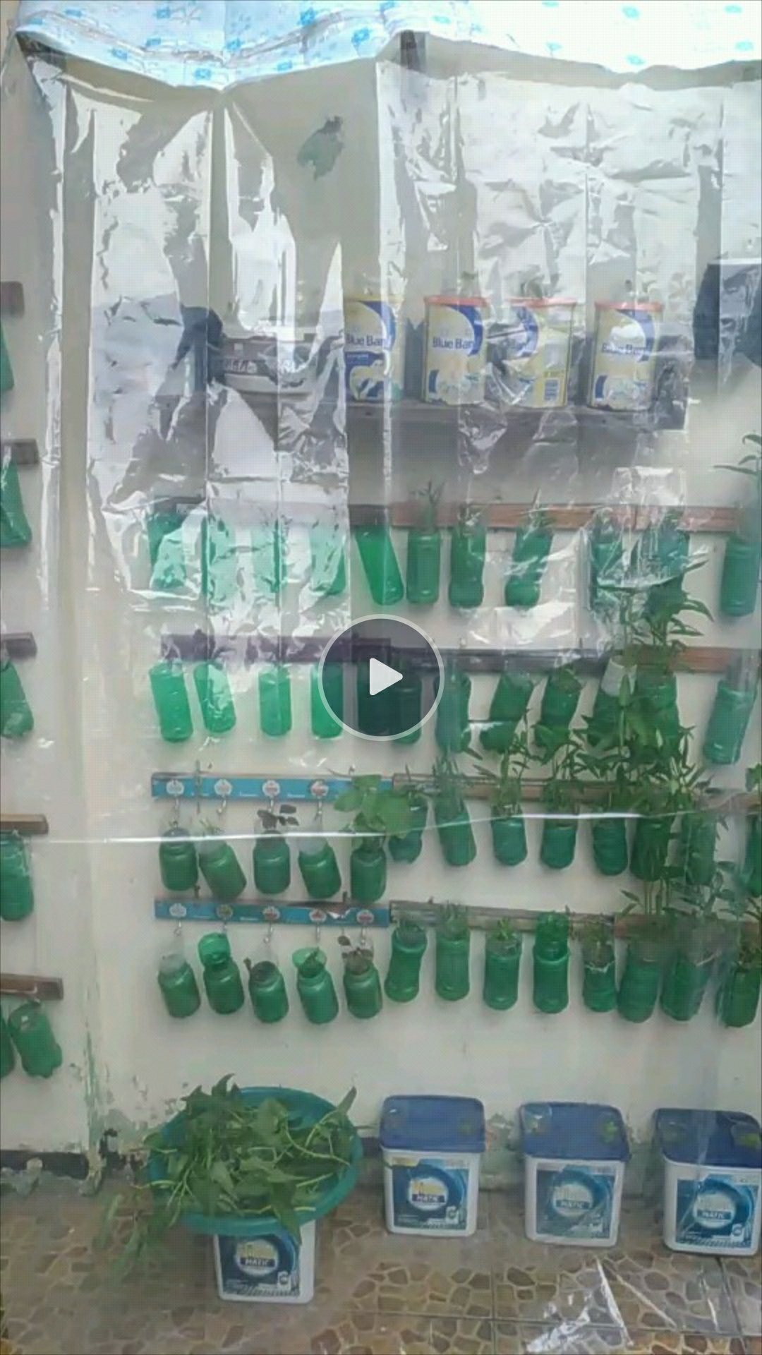 Plastik Uv Lebar 2 Meter Tebal 0.08 Mm