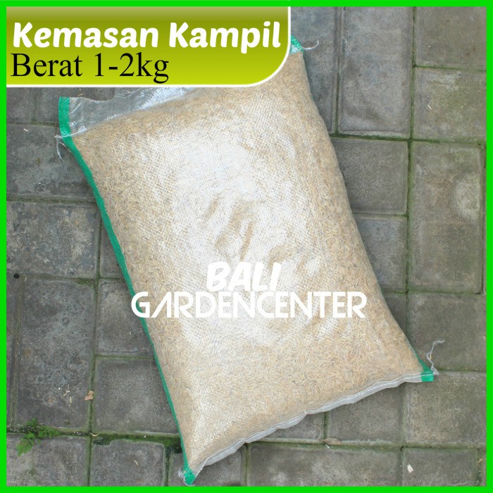 Media Tanam Sekam Padi Sekam Mentah - Kulit Padi