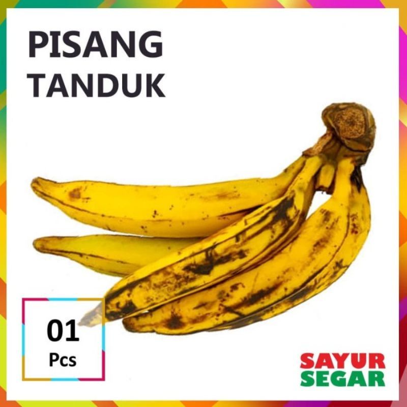 

1 buah pisang tanduk mateng manis sukabumi