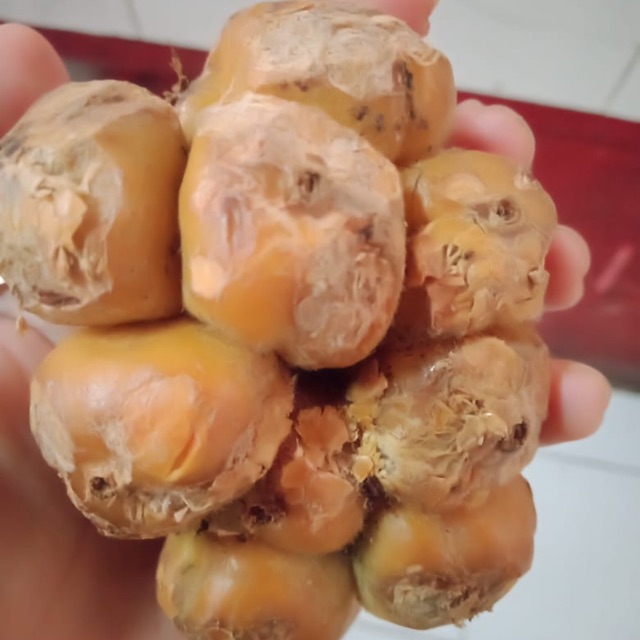 

Cikala Medan