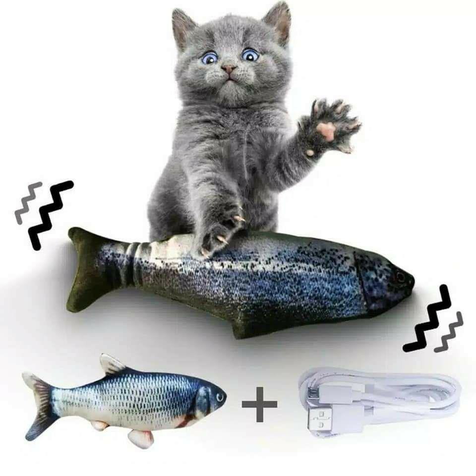 Mainan Kucing Boneka Ikan Gerak Bergerak Cat Toy Dancing Mainan Kucing Boneka Ikan Gerak Bergerak Cat Toy Dancing