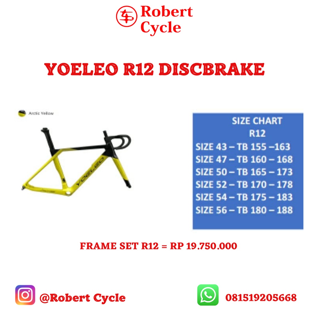 YOELEO R12 DISC BRAKE BNIB ROADBIKE FRAMESET