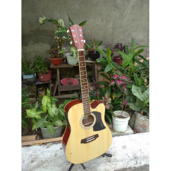 GITAR ELEKTRIK COLE CLARK Custom GRATIS KABEL JACK &amp; PACKING KAYU