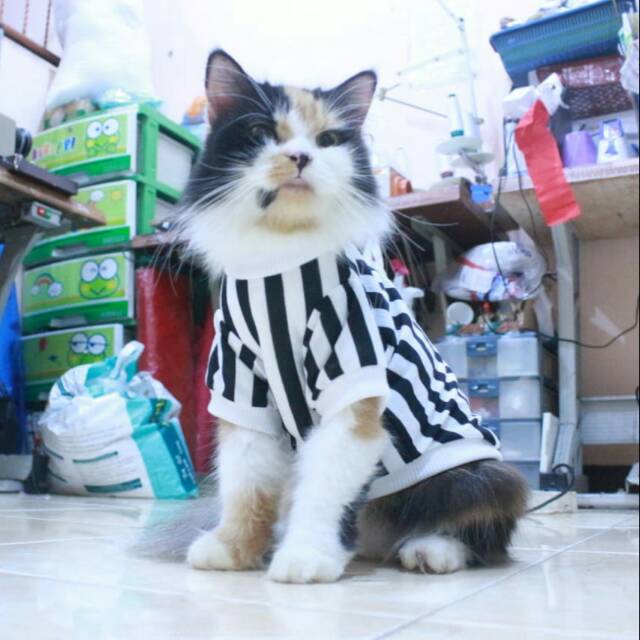 Kaos strip hitam putih lucu untuk kucing dan anjing / baju kucing murah size S M L XL