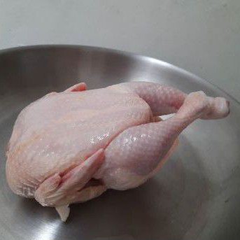 

AYAM NEGRI per EKOR