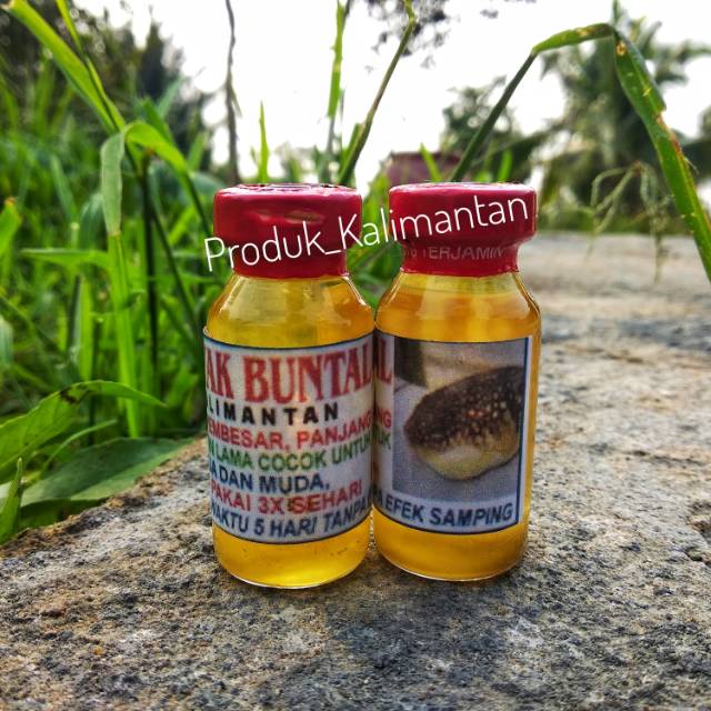 MINYAK BUNTAL ASLI KALIMANTAN,ramuan dayak botol kecil