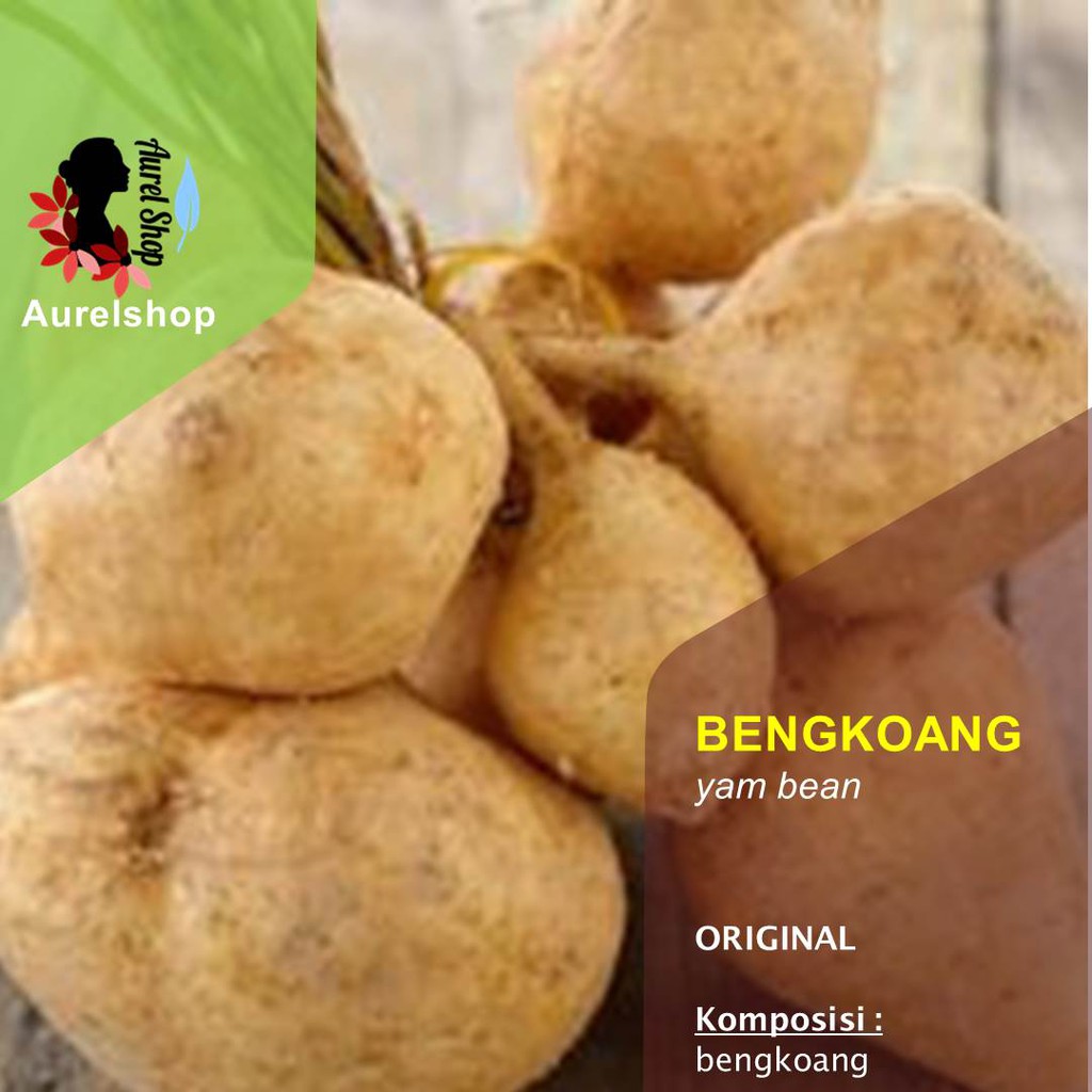 

Buah Bengkoang Segar kemasan 1 kg
