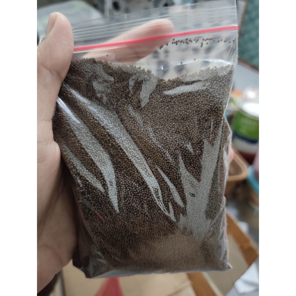 PELET IKAN PF 500 PAKAN IKAN KECIL / PELET KECIL / PELET GUPPY MOLY LELE  / PELET MS