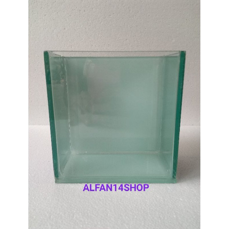 Soliter cupang soliter modif soliter custom soliter selfi soliter foto