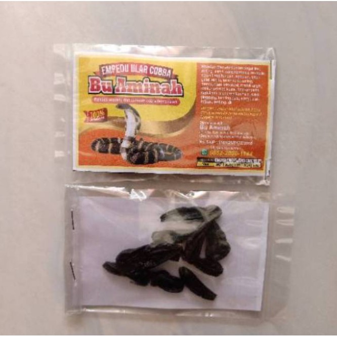 EMPEDU ULAR COBRA ASLI - OBAT ASMA & DARAH KOTOR -