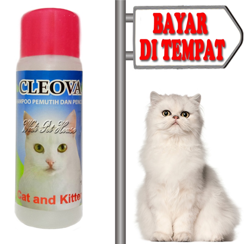 Sampo Khusus Bulu Putih Kucing Shampo Cleova