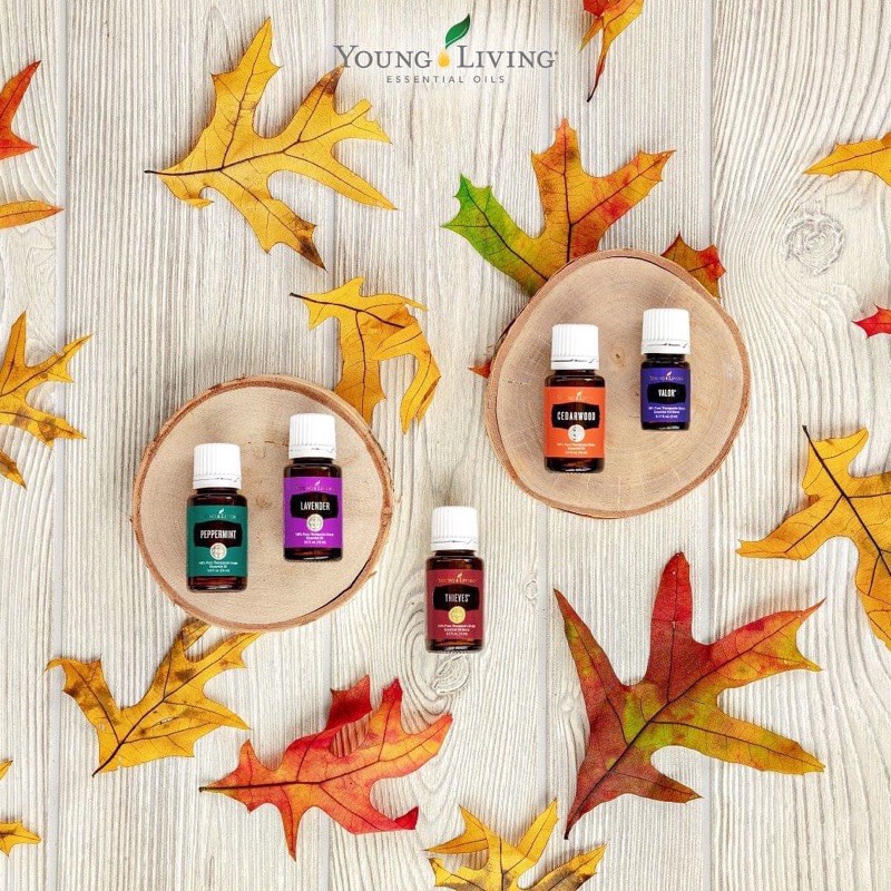 Cedarwood essentials oil 15ml YL