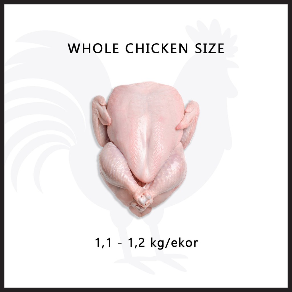 

Ayam Karkas / PKK (ayam boiler) 1.1 - 1.2 kg frozen