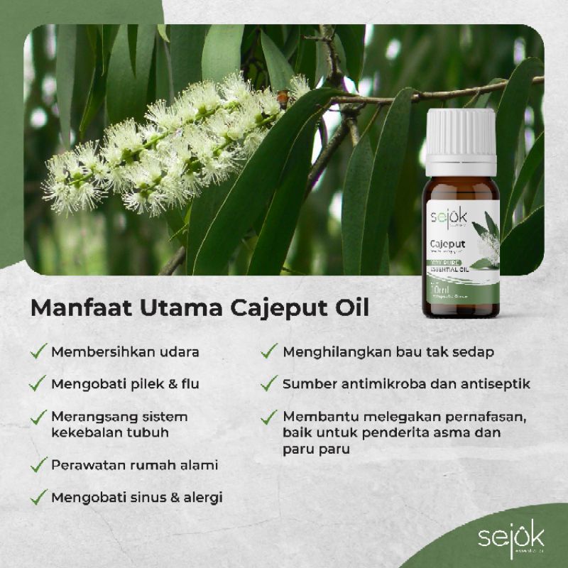 Sejuk Cajeput Essential Oil / Minyak Aromaterapi Pure 100 % - 10 ml