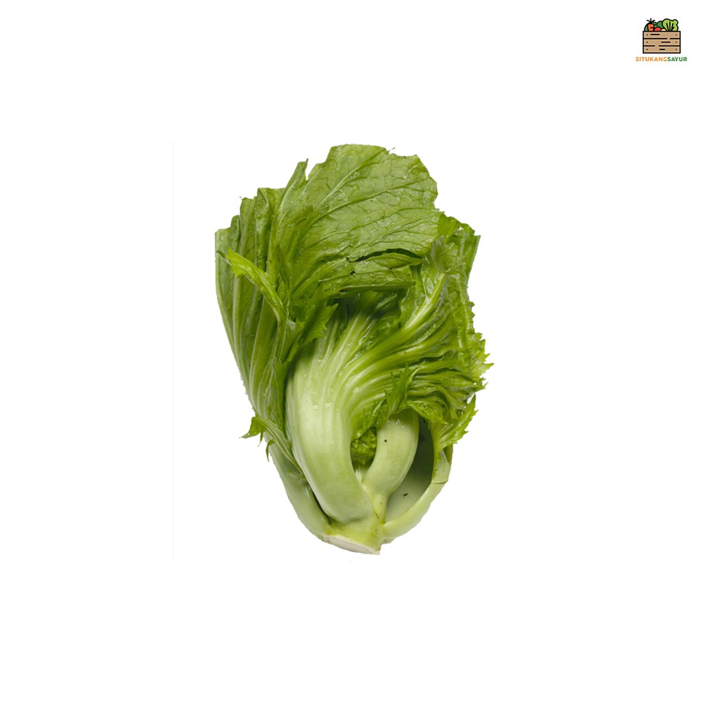

Sayur Jabung / Sawi Pahit | 250gr (Kota Bandung & Sekitar)