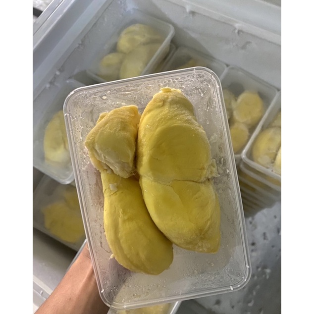 

Durian Premium Montong Palu Parigi