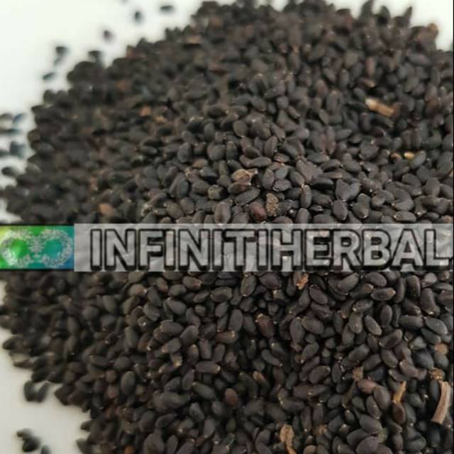 

Biji Selasih 100 gram