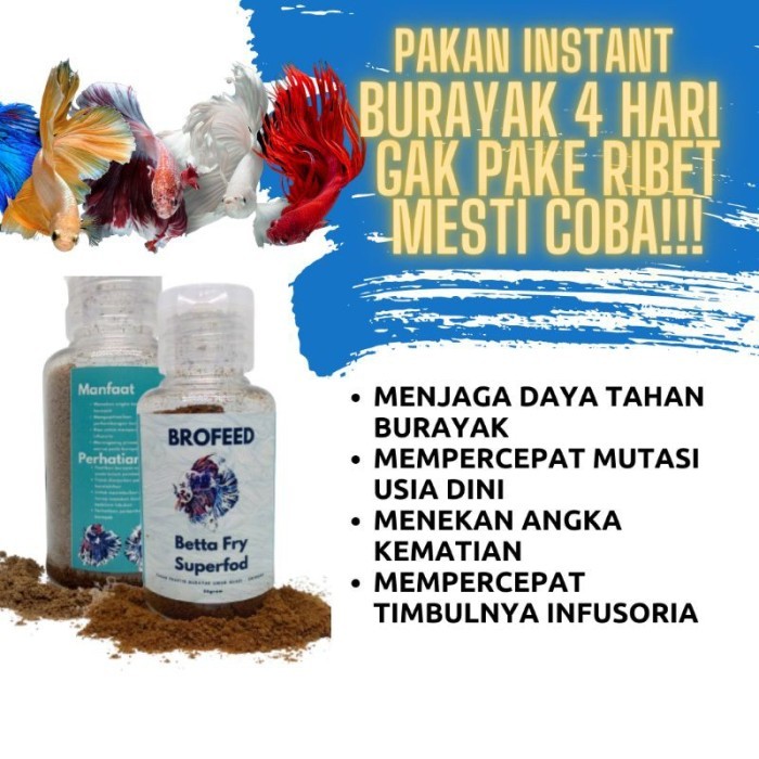 Brofeed pakan burayak cupang 4 hari Mempercepat timbulnya infusoria