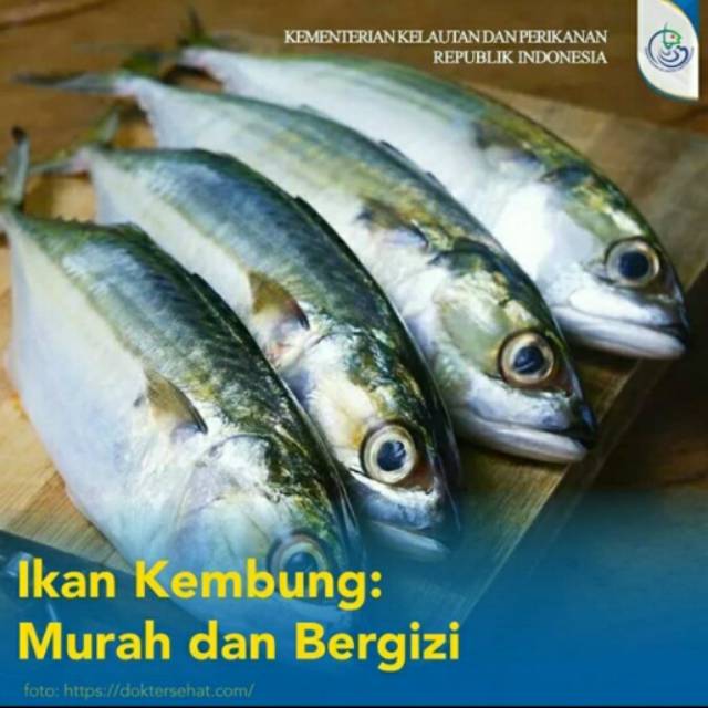 

Ikan Kembung Banjar