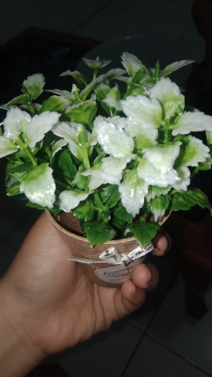 Vb16 Vas Bunga Pita Mini Tanaman Artifisial Daun Hias Warna Flower Pot Imut Dekorasi Meja