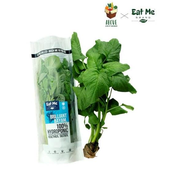 

Brilliant Bayam (Hijau) Pack Hidroponik- ABOVE x EATME Brand