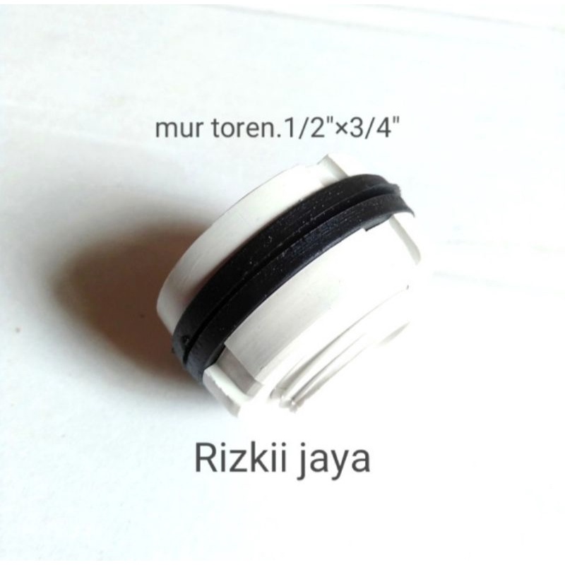 MurToren1/2"x3/4./MurTandon/MurTorenPingguin.