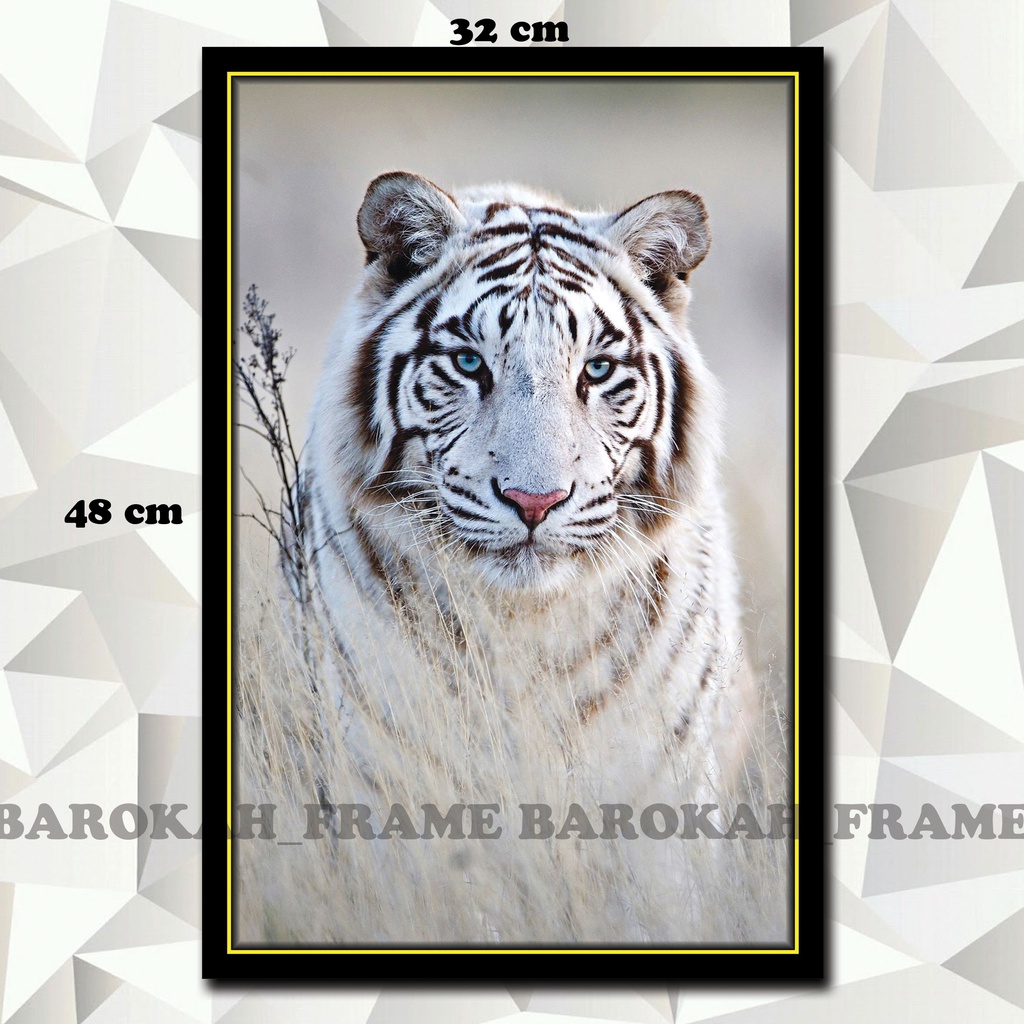 Hiasan dinding Macan Putih Harimau Putih Foto Gambar Poster Bingkai  32x48cm